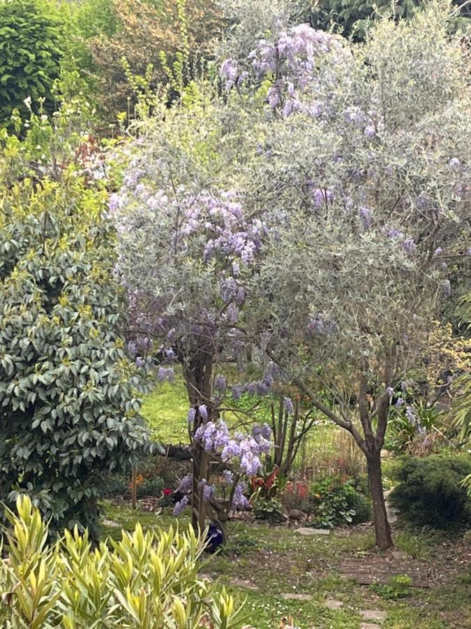 A Room And Garden Close To Paris Vitry-sur-Seine Eksteriør bilde